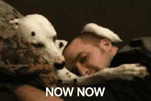 Now Now GIF - Now Now GIFs
