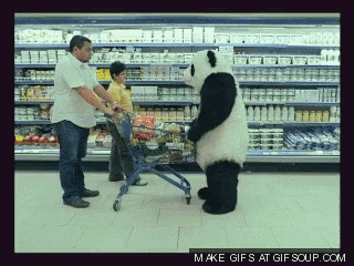 Panda Nope GIF - Panda Nope Kick GIFs
