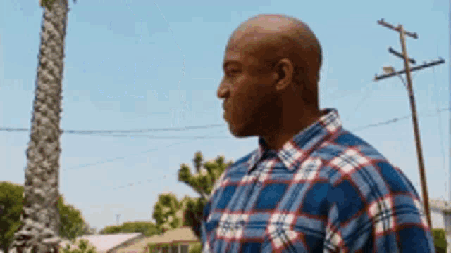 a bald man wearing a plaid shirt is standing in front of a palm tree and power lines .