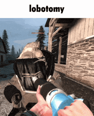 a screenshot of a video game with the word lobotomy on the top