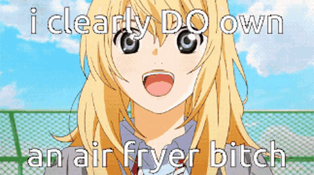 a picture of a girl with the words " i clearly do own an air fryer bitch " on it
