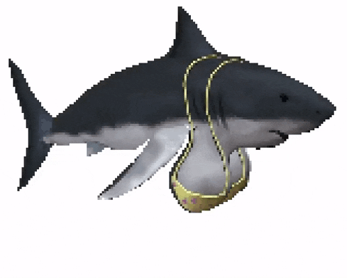 a shark is holding a gold chain around its neck