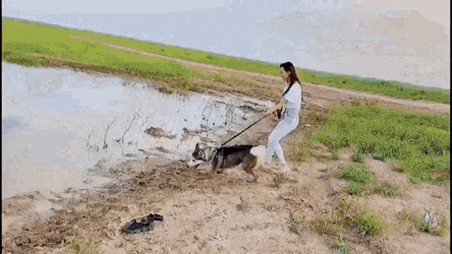a woman is pulling a dog on a leash near a body of water