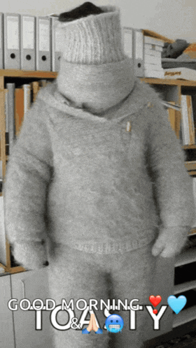 a picture of a person wearing a sweater with the words good morning toasty