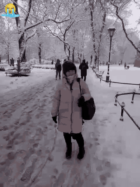 a woman in a pink coat is walking in the snow .