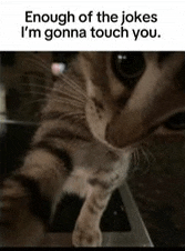 a cat is laying on a table with the words `` enough of the jokes i 'm gonna touch you '' written on it
