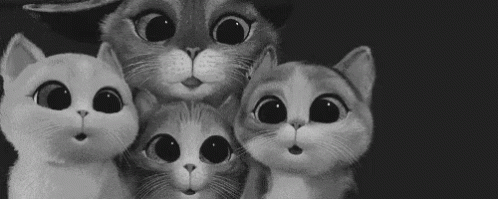 Animal Kittens GIF - Animal Kittens Cute GIFs