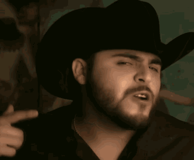 a man with a beard is wearing a cowboy hat