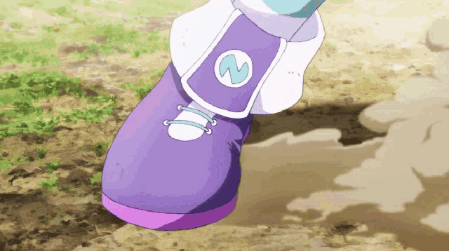 a close up of a purple shoe with a white z on it