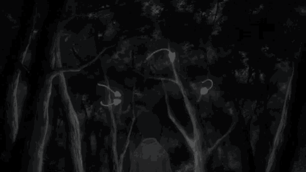 a black and white photo of a person standing in a dark forest with glowing lights coming out of the trees .