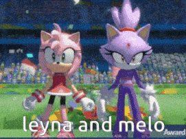 a cartoon of amy and blaze from sonic the hedgehog are standing next to each other on a field .