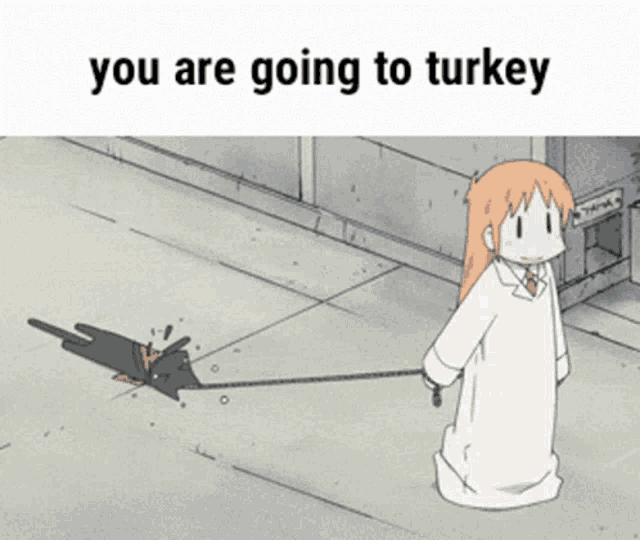 a cartoon of a woman walking a dog with the words you are going to turkey