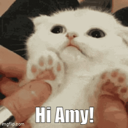Hi Amy GIF - Hi Amy Eden GIFs