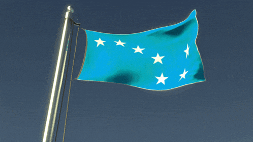 a blue flag with white stars on it is waving in the wind