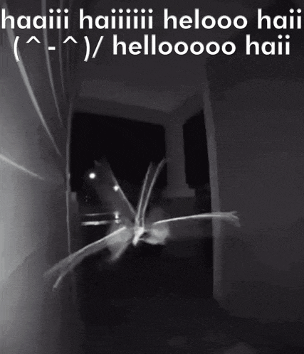 a black and white photo with the words hellooo haii written on it