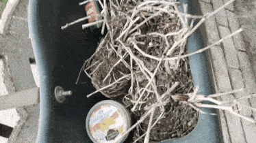 a wheelbarrow filled with branches and a can of ranch