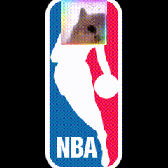 a nba logo with a cat in the middle