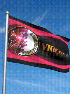 a pink and black flag with violin on it