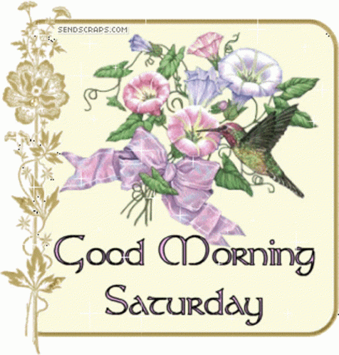 Happy Saturday Good Morning Saturday GIF - Happy Saturday Good Morning Saturday Good Morning GIFs