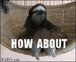a sloth is laying in a hammock with the words " how about " written above it