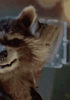 a raccoon is holding a stuffed animal on its back .