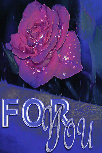 a purple rose with water drops on it is on a blue background with the words for you
