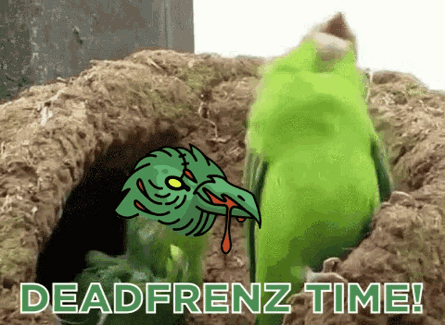 a cartoon of a green parrot with the words deadfrenz time written below it