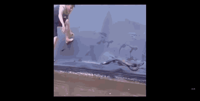 a man is holding a large snake in his hand while standing in the water .