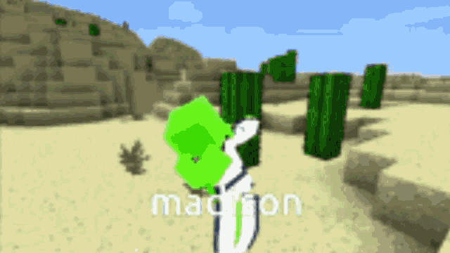 a screenshot of a video game with the name madison at the bottom