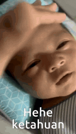 Hagia Hagia Ketahuan GIF