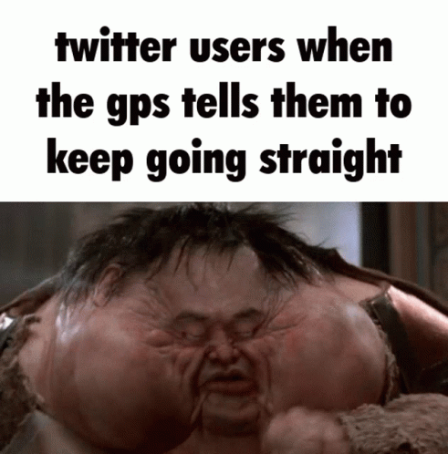Twitter Users When Twitter Users When The Gps Tells Them To Keep Going Straight GIF - Twitter Users When Twitter Users When The Gps Tells Them To Keep Going Straight Twitter GIFs