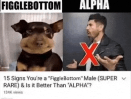 a picture of a dog next to a picture of a man with a red x on it