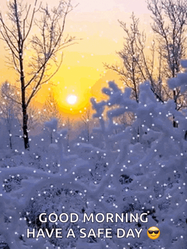 a snowy forest with the words good morning have a safe day on the bottom