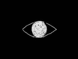 a black and white drawing of an eye with a sphere in the center .