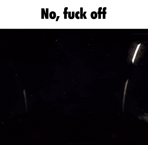 a screenshot of a video game with the words " no fuck off "