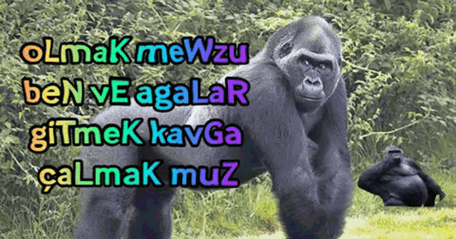 Goril Mewzu GIF - Goril Mewzu Muz GIFs