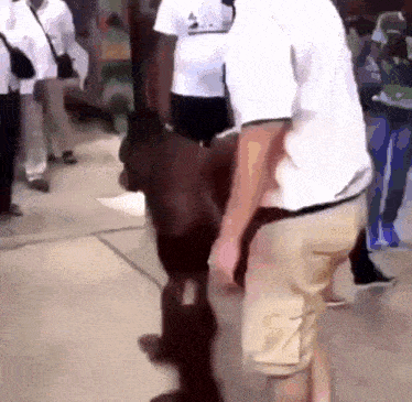 a man in khaki shorts is standing next to a monkey on the sidewalk