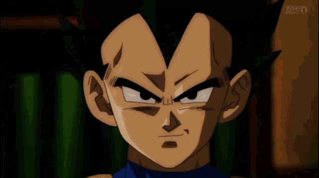 goku and vegeta are standing next to each other in a cartoon scene