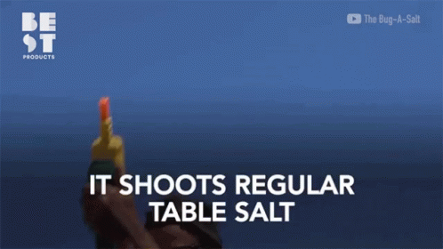 It Shoots Regular Table Salt Fly Gun GIF - It Shoots Regular Table Salt Fly Gun Fly GIFs