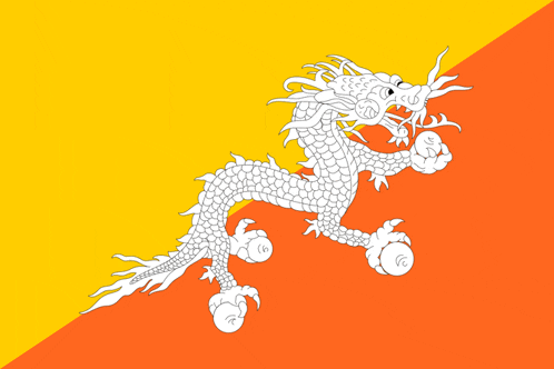 a drawing of a white dragon on a yellow and orange background