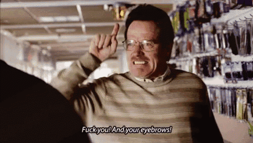 Eyebrows Fuckyou GIF