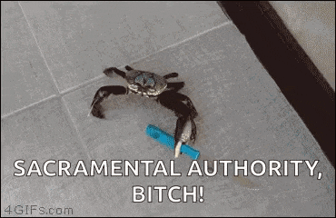 a crab is holding a blue light saber in its hand .