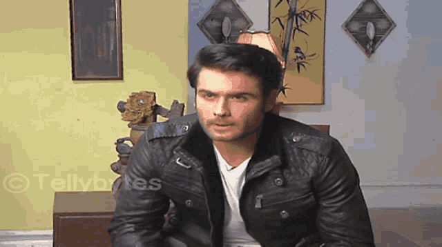 a man in a black leather jacket is sitting in front of a tellybites logo