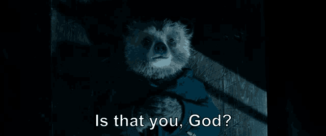 a bear in a dark room with the words is that you god
