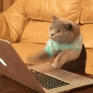 a cat is sitting in front of an apple laptop computer
