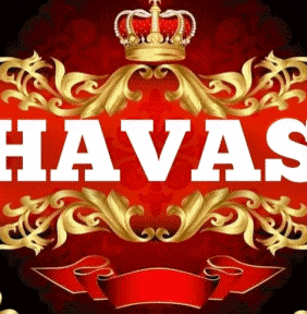 a red and gold logo for havas with a crown