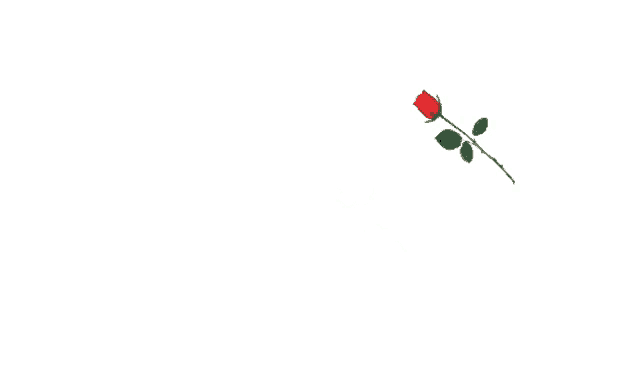a red rose is on a white background next to a red text that says " تولدت مبارک "
