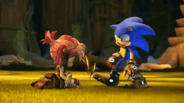 sonic the hedgehog and amy rose are standing next to each other on a grassy field .