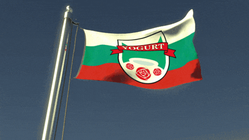 a flag that says yogurt on it is waving in the wind