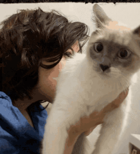 a woman is holding a white cat and kissing it on the nose